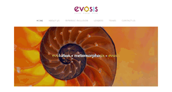 Desktop Screenshot of evosis.co.uk